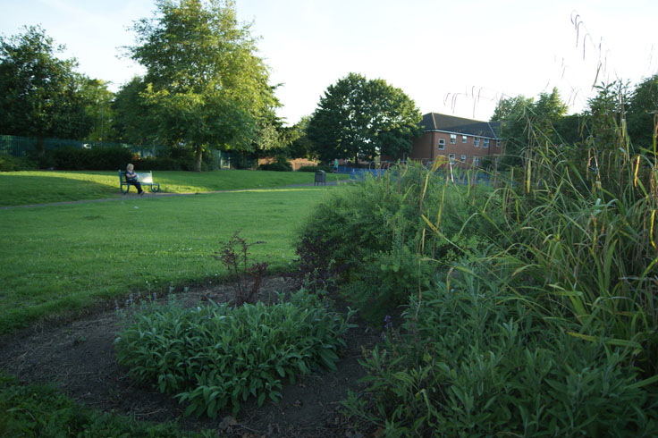 A woman sat on a bench in front of some shrubbery.